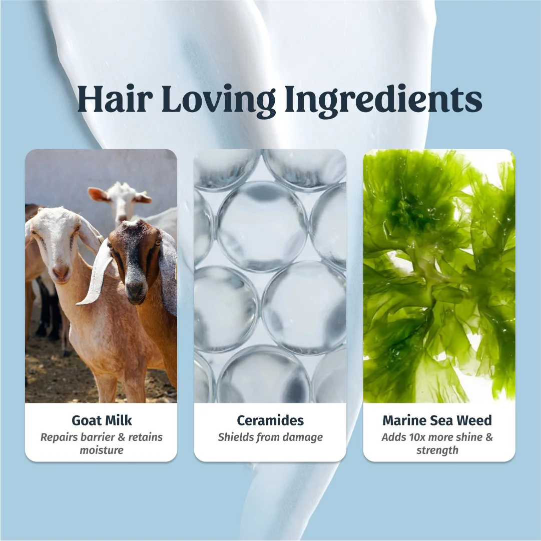 Goat Milk Hair Mask - Image 6